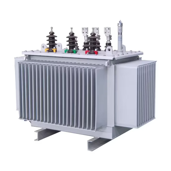 3 Phase 1000kVA 11kv/0.4kv 60Hz Oil Immersed Distribution Transformer