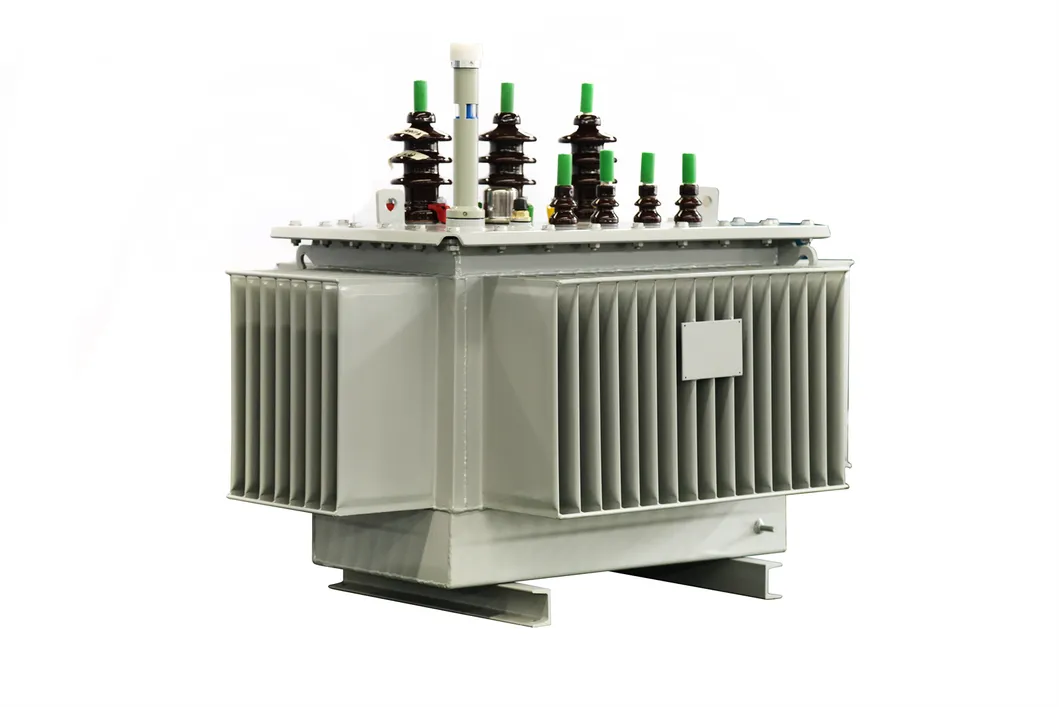 Oil-Immersed Power Transformer 2