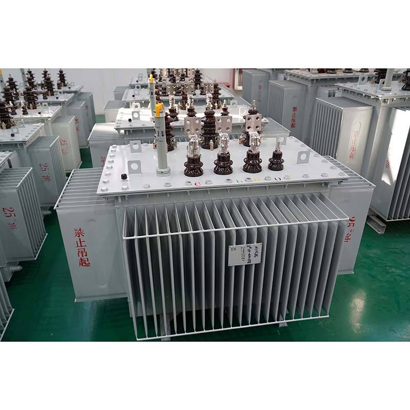 160kVA 250kVA Outdoor 33kv 300kVA 3 Phase Oi Immersed Distribution Transformer