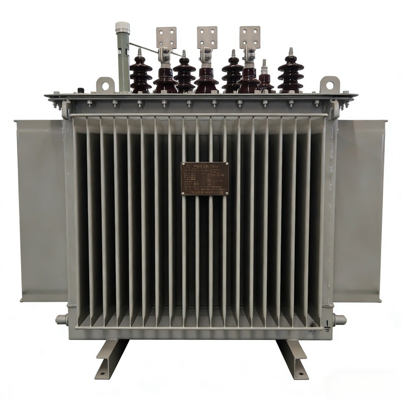 Schneider Ei Type Amorphous Alloy Low Frequency Instrument CCC Oil-Immersed Transformer
