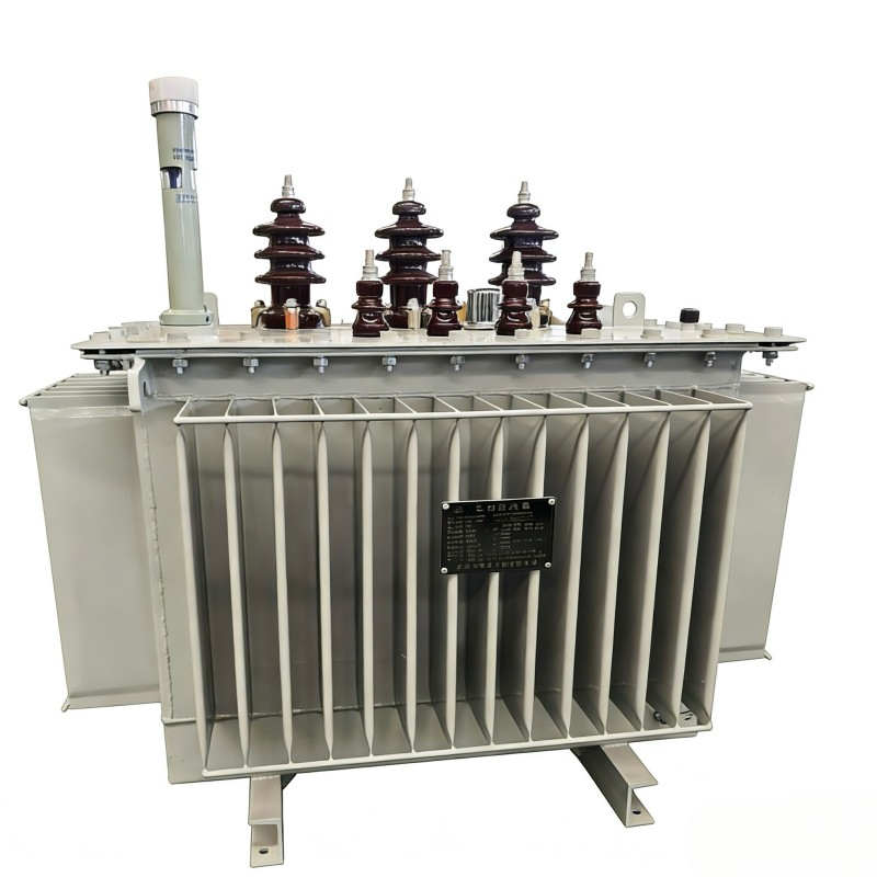 Schneider Amorphous Alloy Independent Winding Low Frequency Instrument Oil-Immersed Transformer