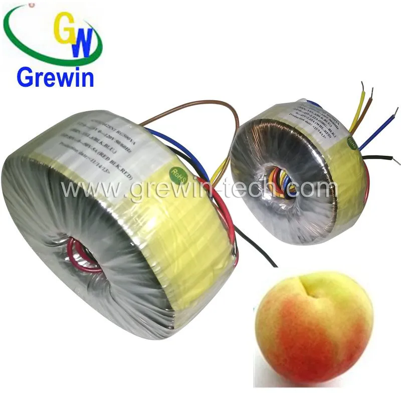 Toroidal Transformer Detail