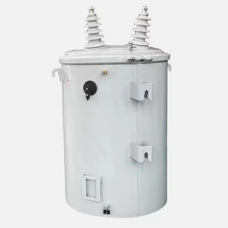 100kVA Pole Mounted Single Phase Oil Immersed Distribution Transformer