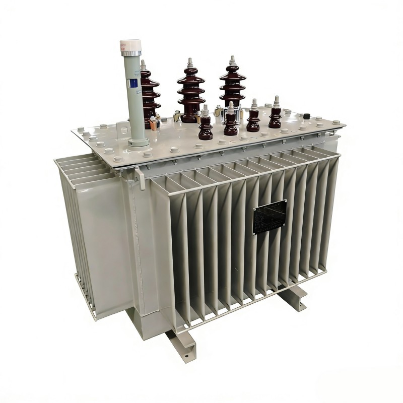 Schneider Auto-Transformer Toroidal Intermediate Frequency Combined Power Oil-Immersed Transformer