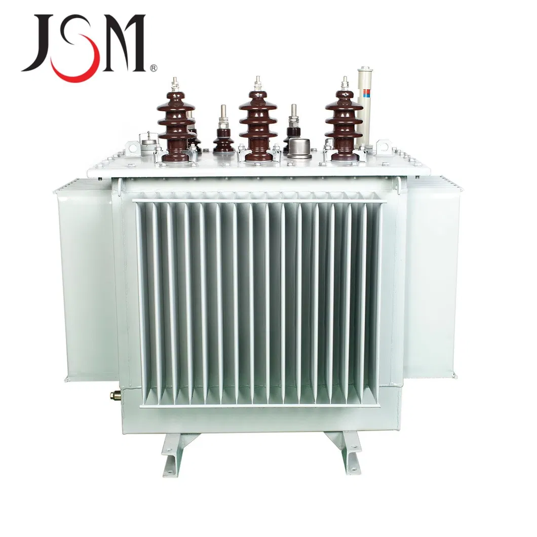 Oil Immersion Transformer 2