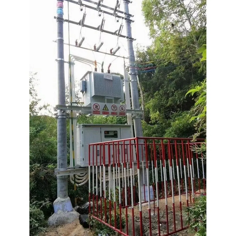 Oil Immersed Electric Pad Mounted Transformer for Retail Complex Power