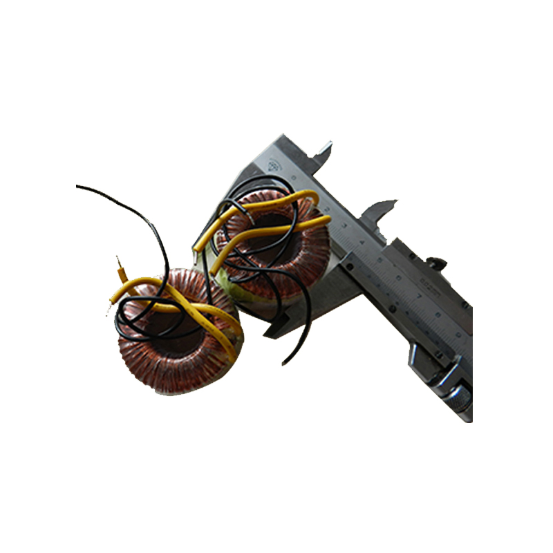 Durable 300W Toroidal Core Custom Power Transformer for Industrial Use