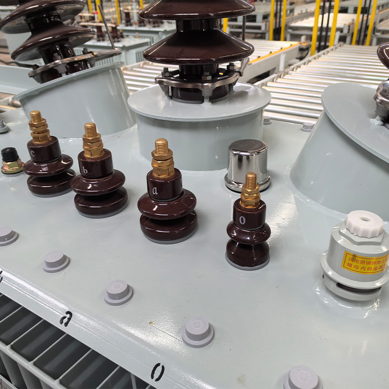 Combined 10kv Step Down Power Distribution High Voltage Oil Immersed Three Phase Transformer