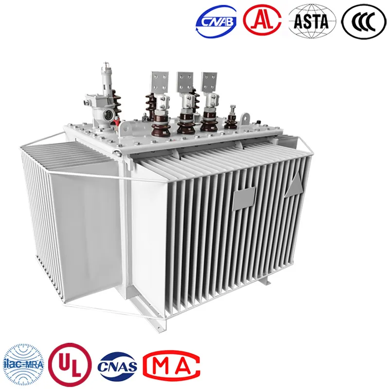 Oil Immersed Transformer