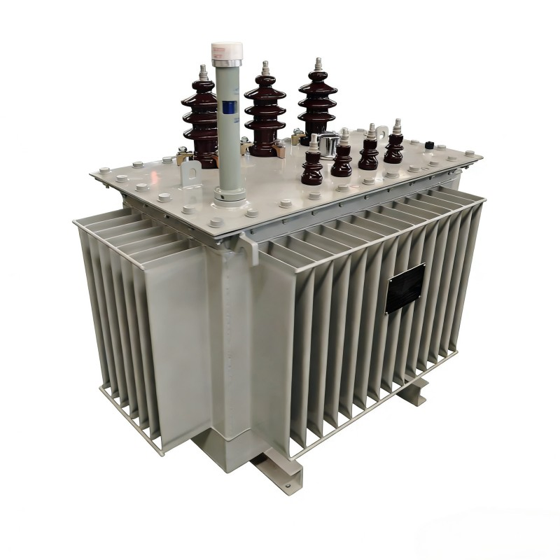 Schneider Auto-Transformer Toroidal Intermediate Frequency Combined Power Oil-Immersed Transformer