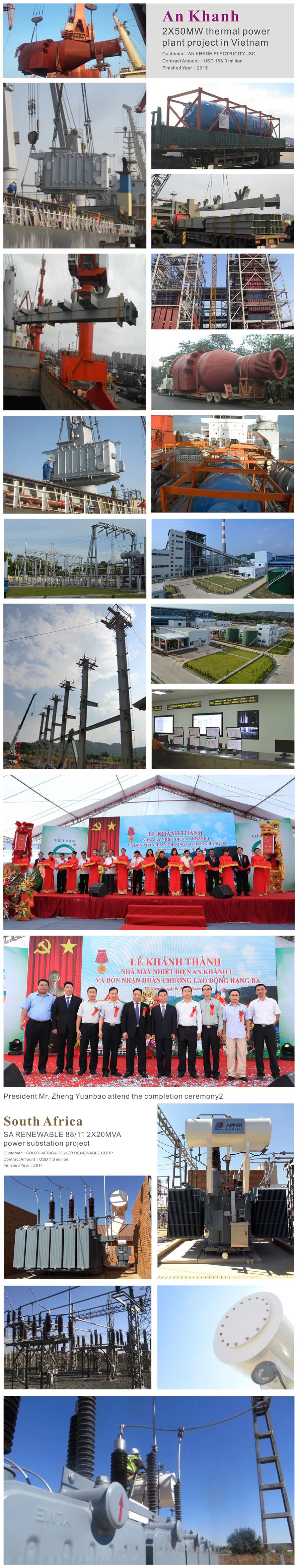 Oil Immersed Details