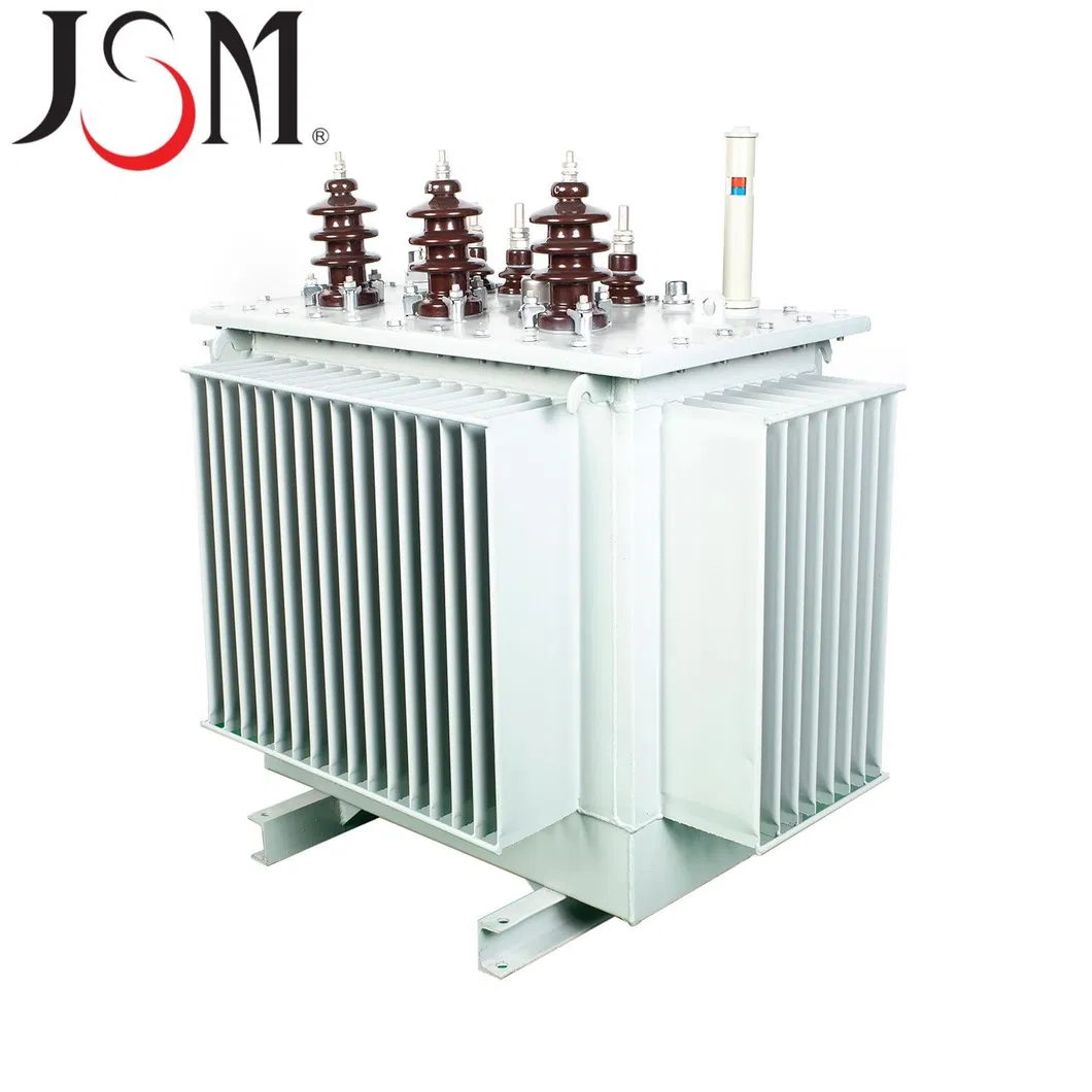 Oil Immersion Transformer 3