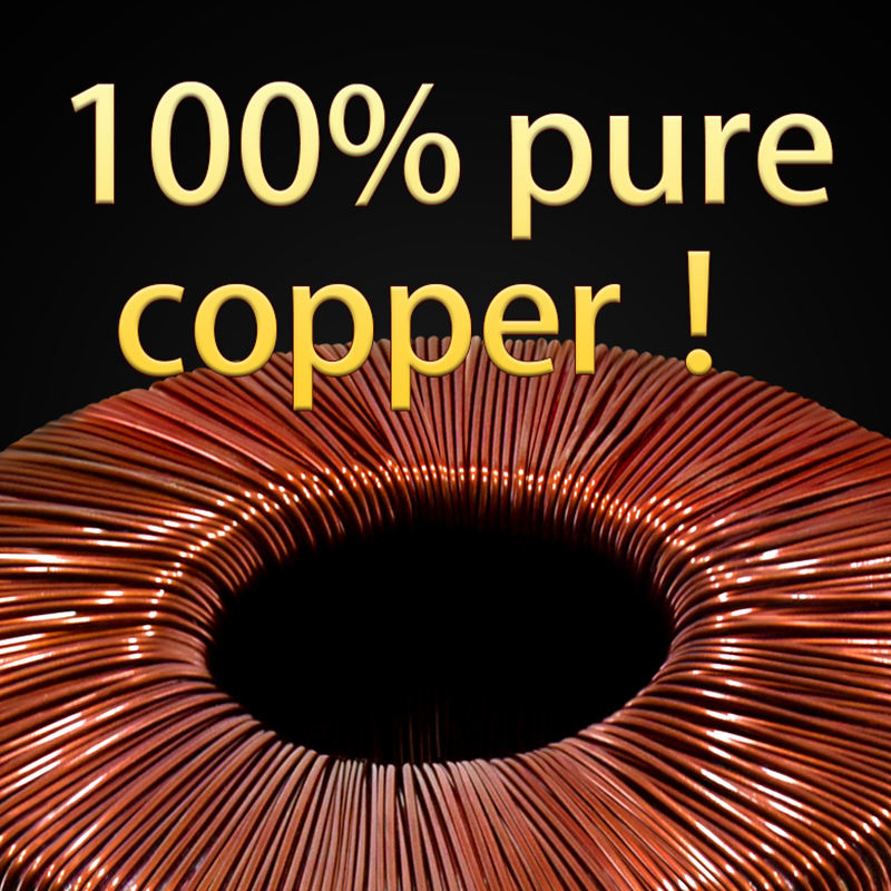 Low Toroidal Power Transformer Voltage Converter Single Phase AC