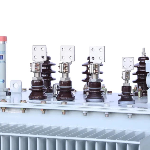 Oil Immersed Distribution Transformer