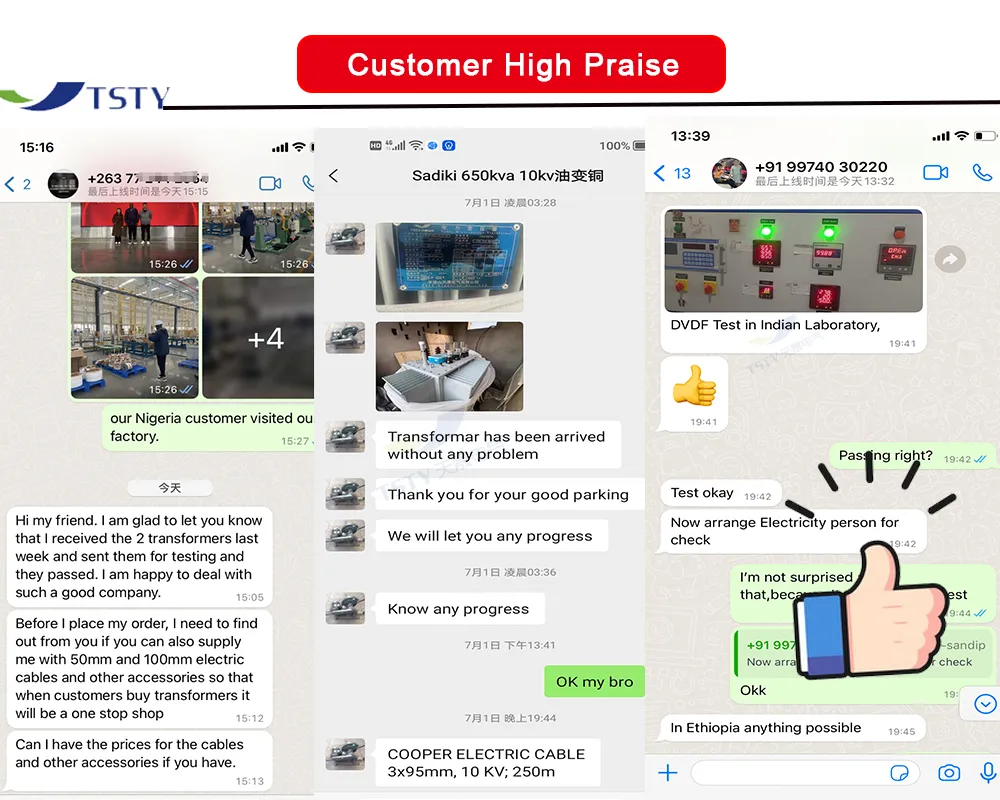 Distribution Transformer Detail