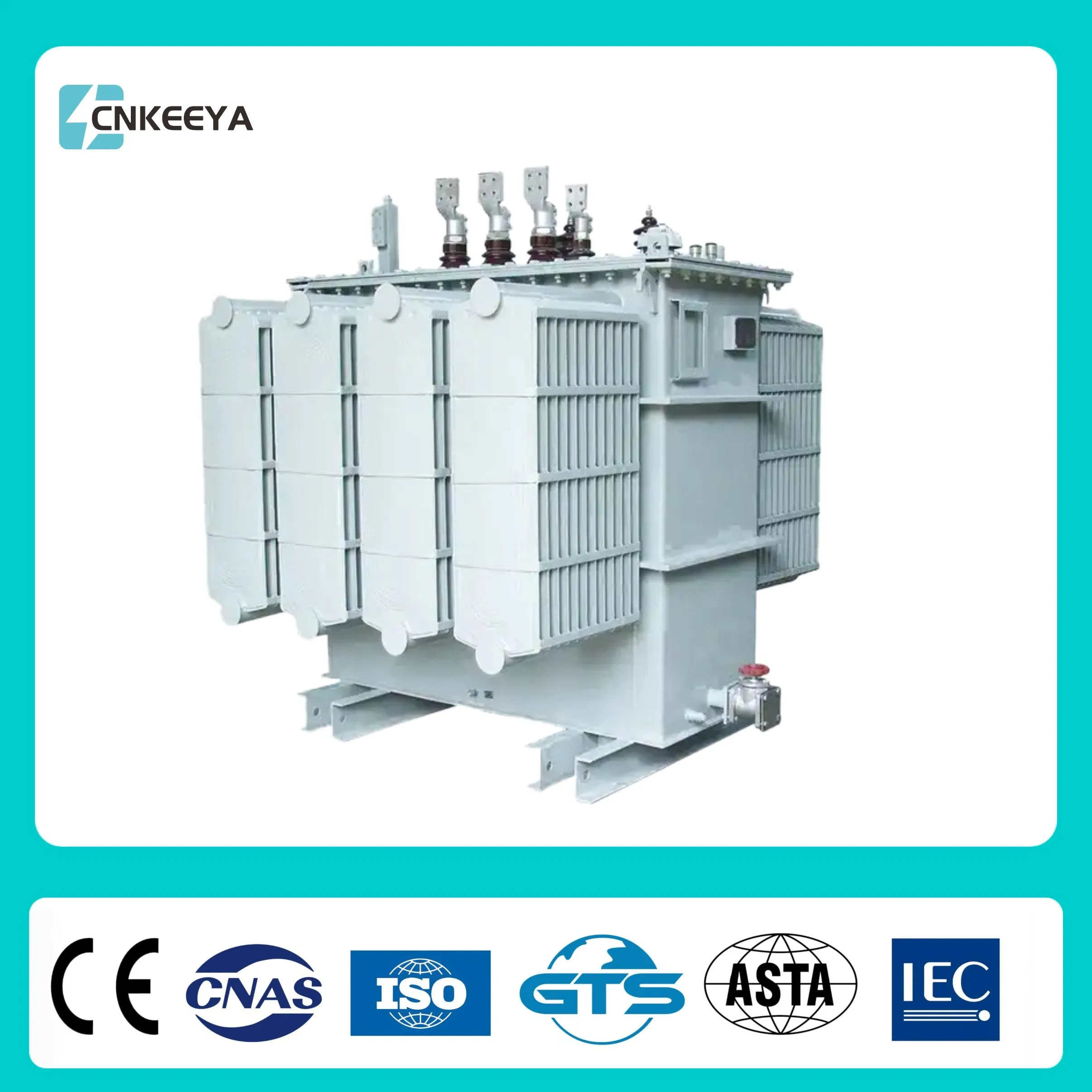 Cnkeeya S13 S11 Dry Type Sealed Three Phase Oil Immersed Transformer Distribution Low Loss Power Isolation 10kv 110kVA AC Outdoor Pole-Mounted Transformer