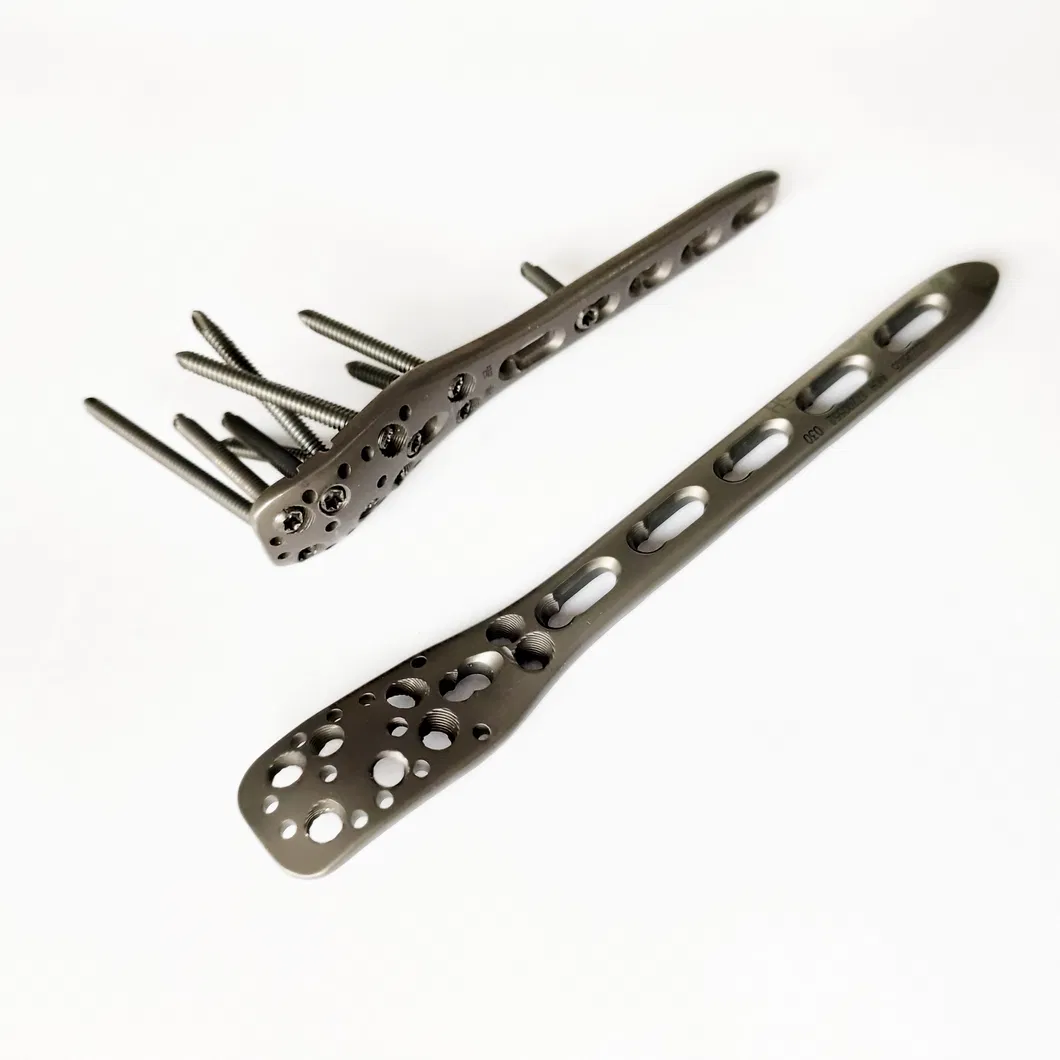 Orthopedic Bone Titanium Plate