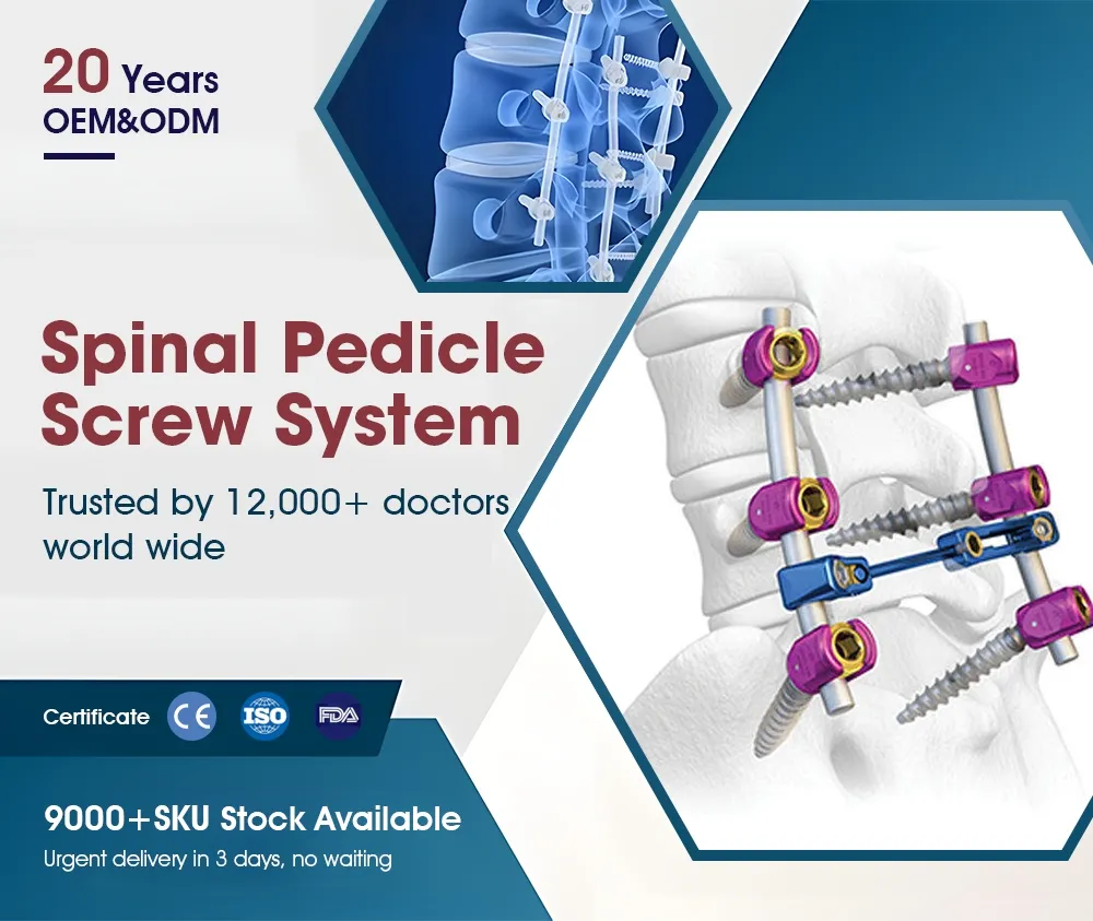 Spinal Pedicle Screw System