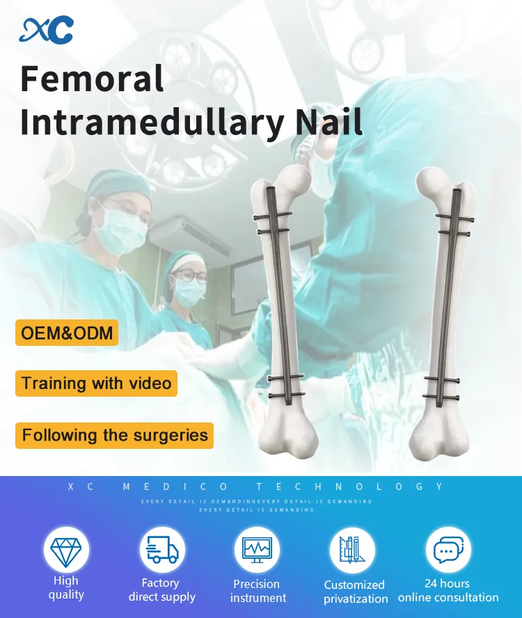 Lockable Intramedullary Nail