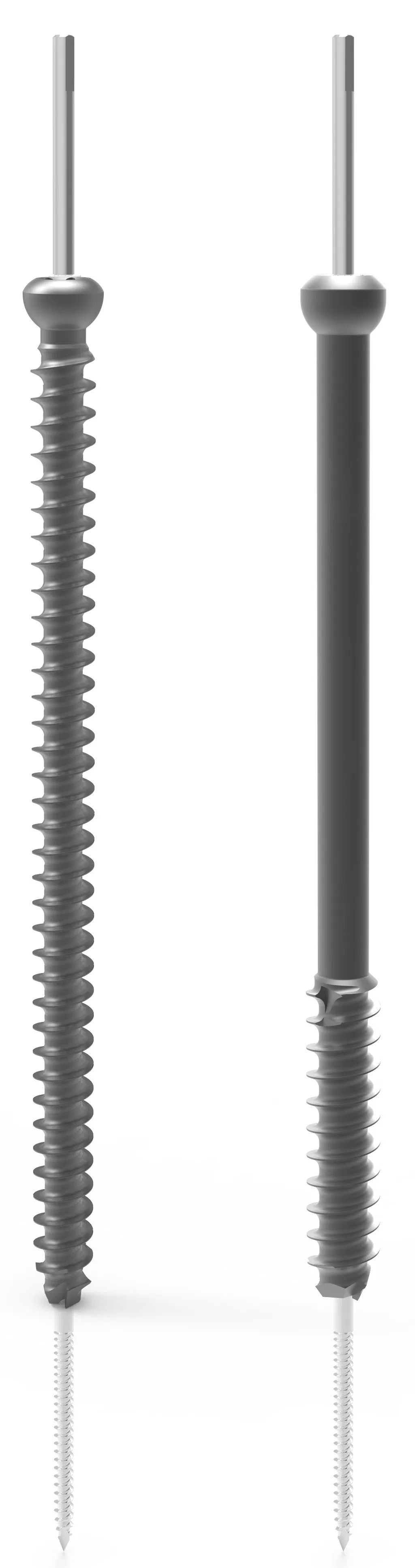 Orthopaedic Implant Cannulated Compression Screw 6.5 Cannulated Screw