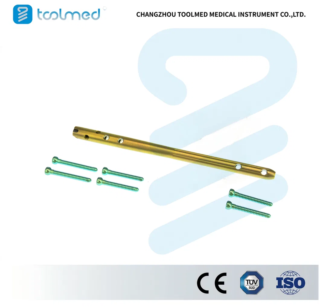 Expert Osteosintesis Intramuslary Proximal Femoral Nail Pfna Intramedullary Interlocking Femur Nail Fusion Cage 10*220