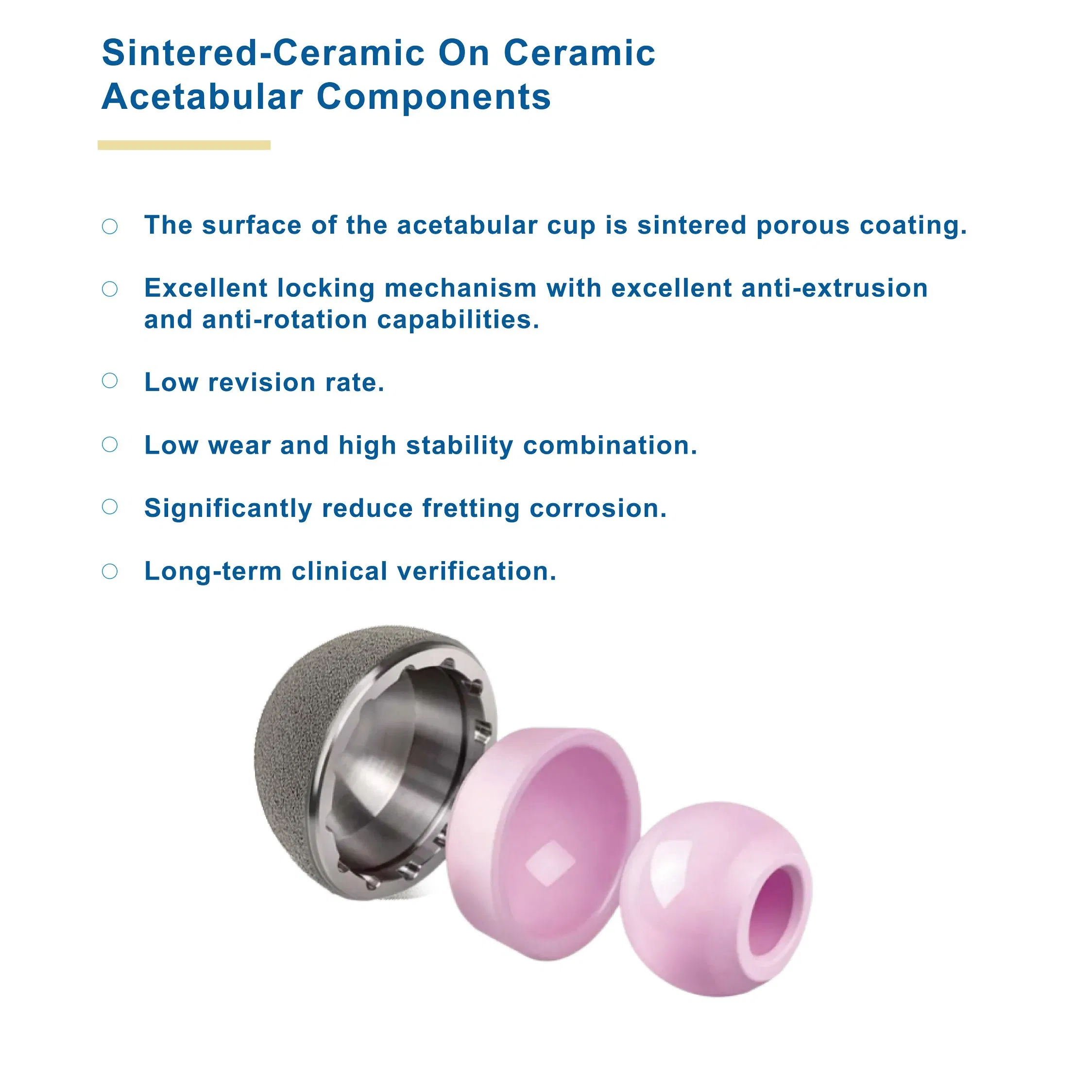 Canwell Primary Femoral Bipolar Head Cocrmo UHMWPE Total Hip Arthroplasty Modular Head Prosthesis Joint Replacement CE