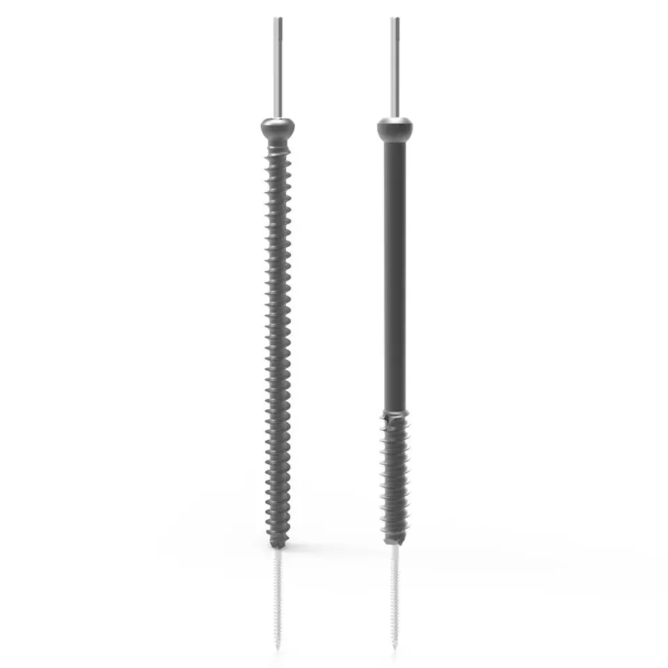 Cannulated Compression Screws 2