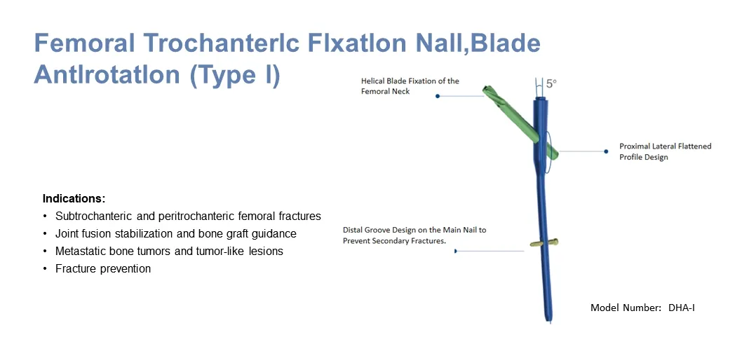 Femoral Fracture Repair Advanced Long Intramedullary Nail