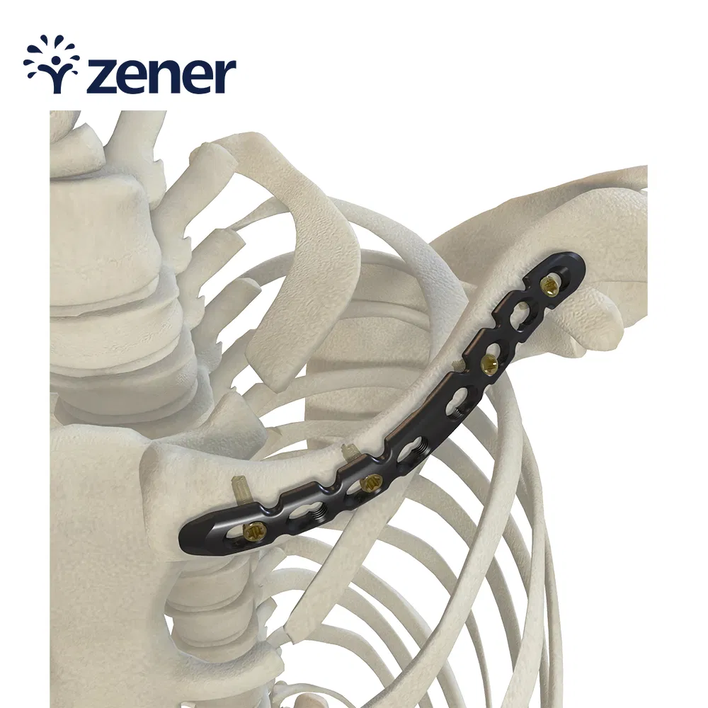 Manufacture Medical Surgical Instrument Titanium 8 Holesright S-Clavicle Locking Plate II Used for Clavicle Shaft Fracture