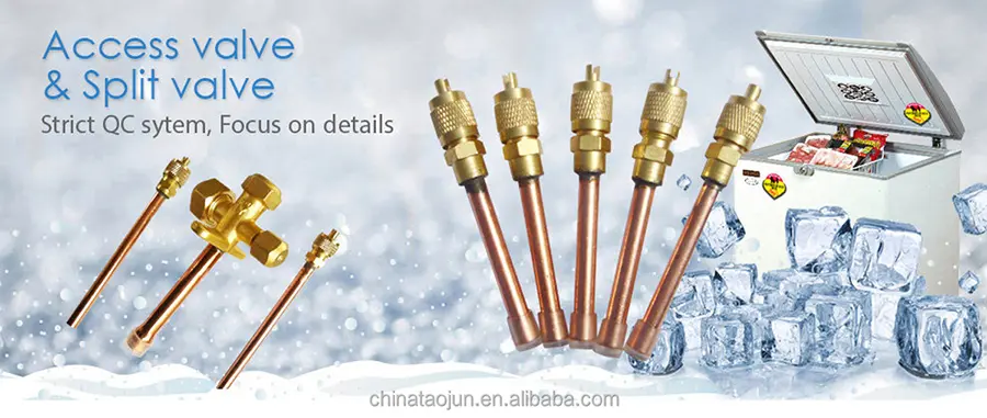 Charging-Valve-1