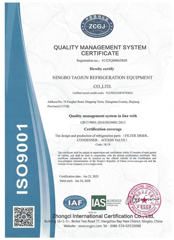 Taojun ISO 9001 main certification document