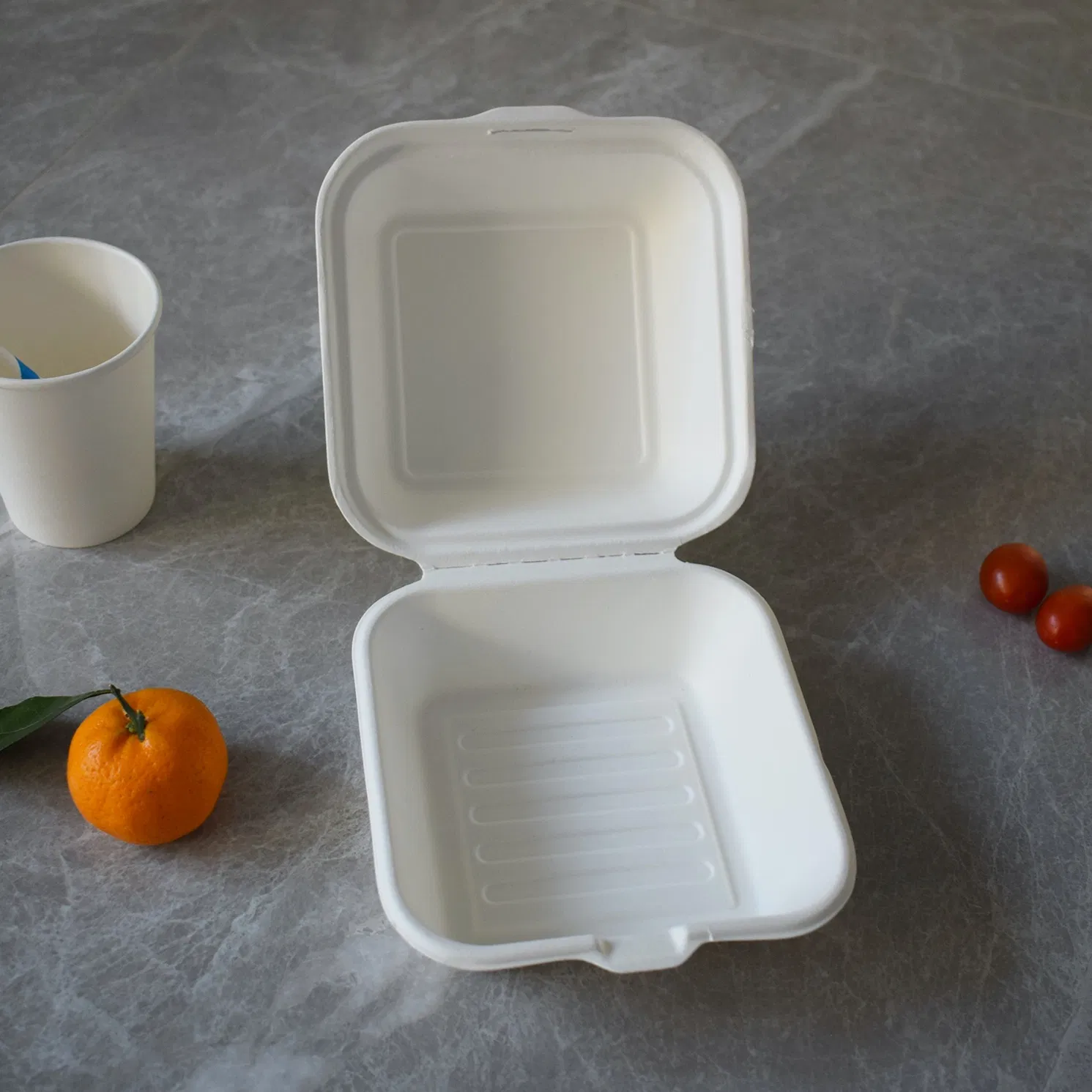 Disposable Biodegradable Compostable Bagasse Food Sugarcane Paper Packaging