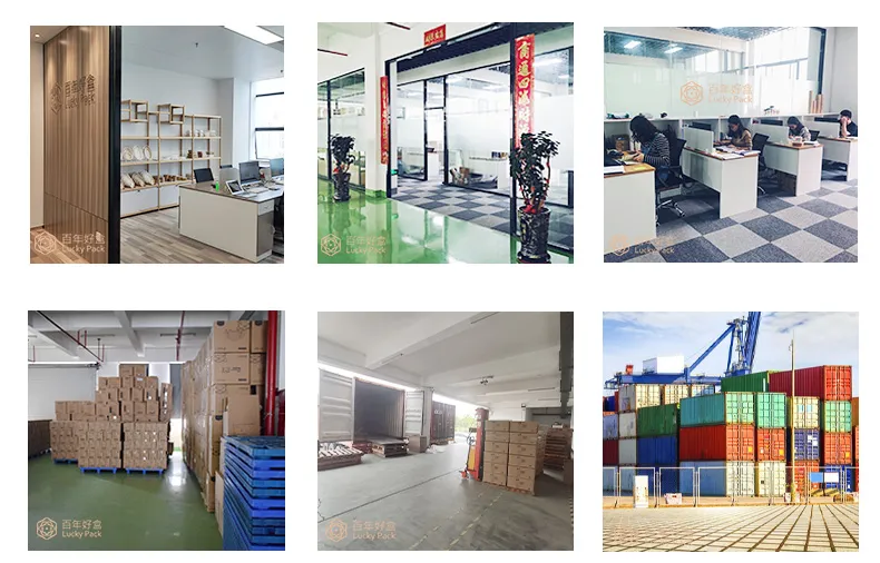 Bagasse Food Packaging