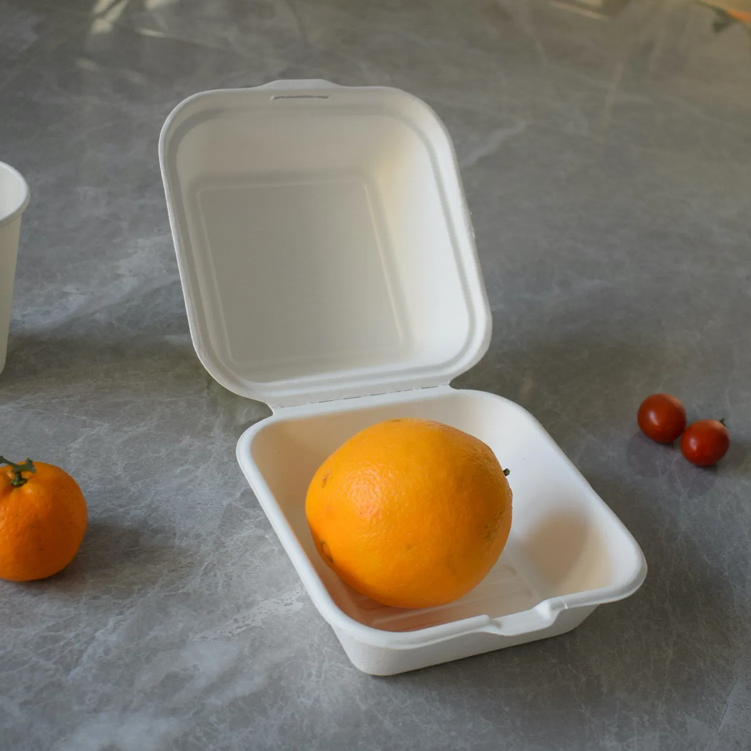 Disposable Biodegradable Compostable Bagasse Food Sugarcane Paper Packaging