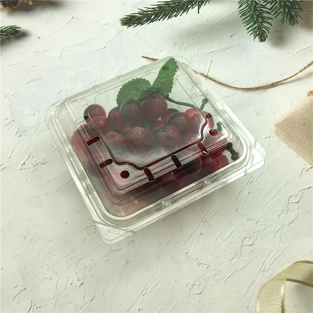 Clear Plastic Tomato Punnets