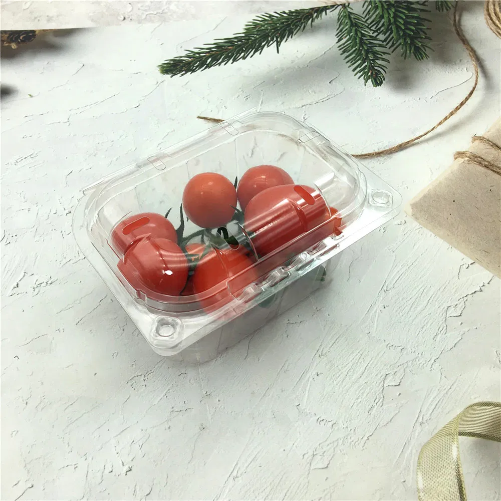 Clear Plastic Tomato Punnets