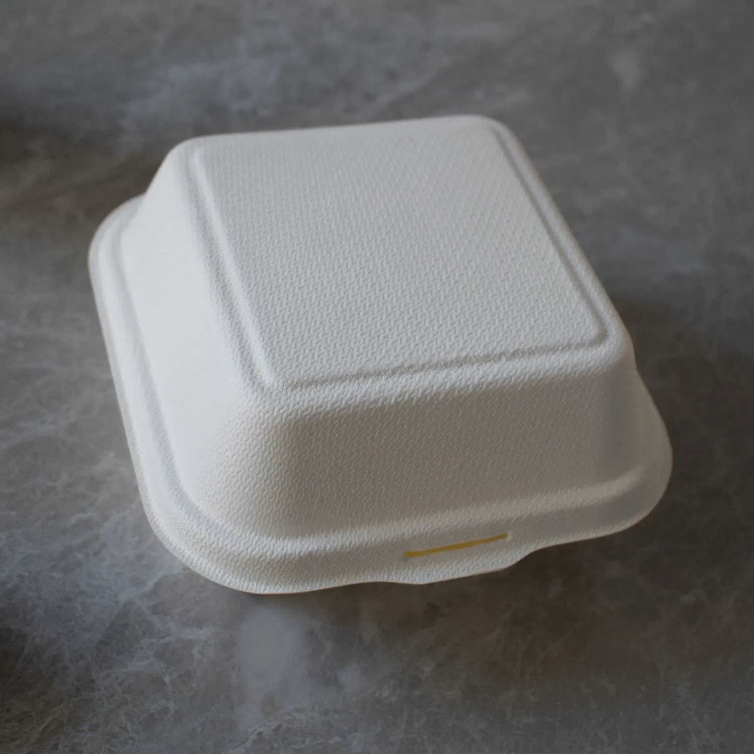Disposable Biodegradable Compostable Bagasse Food Sugarcane Paper Packaging