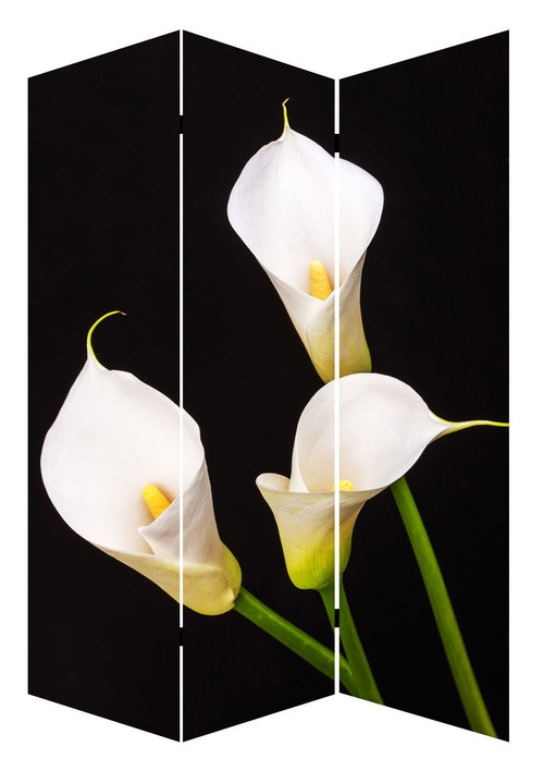 Decorative Flower 3 Panel Canvas/Wooden Folding Home Room Dividers