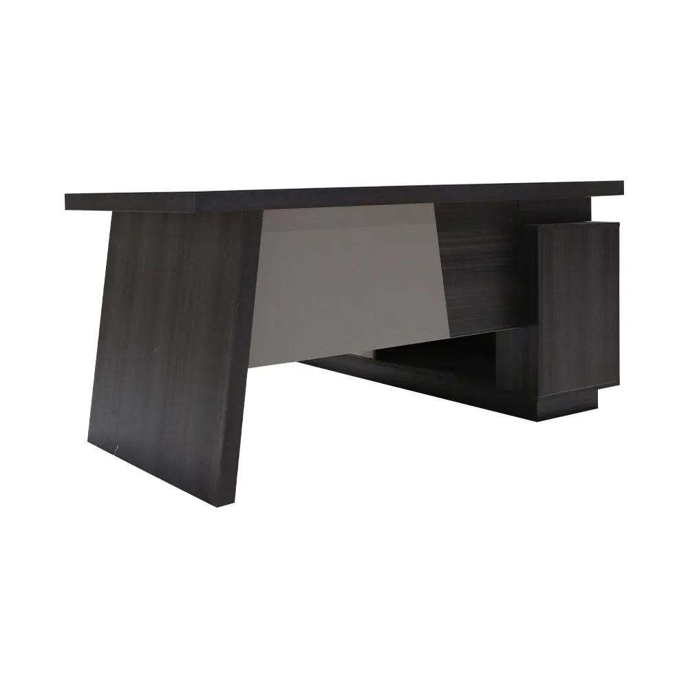 Executive Desk View 5