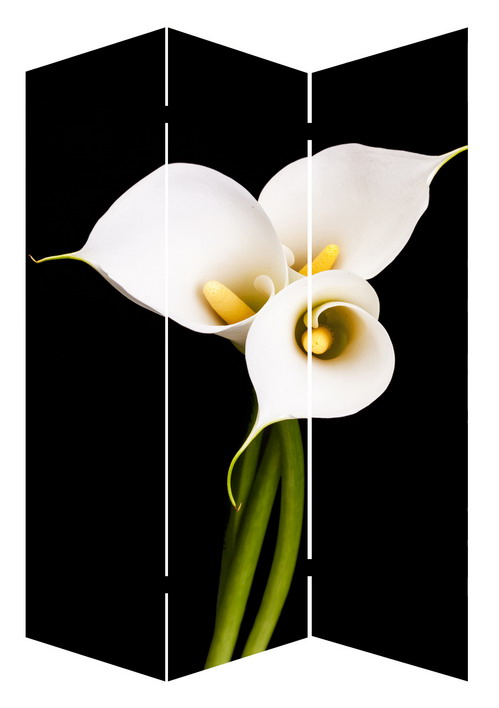 Decorative Flower 3 Panel Canvas/Wooden Folding Home Room Dividers