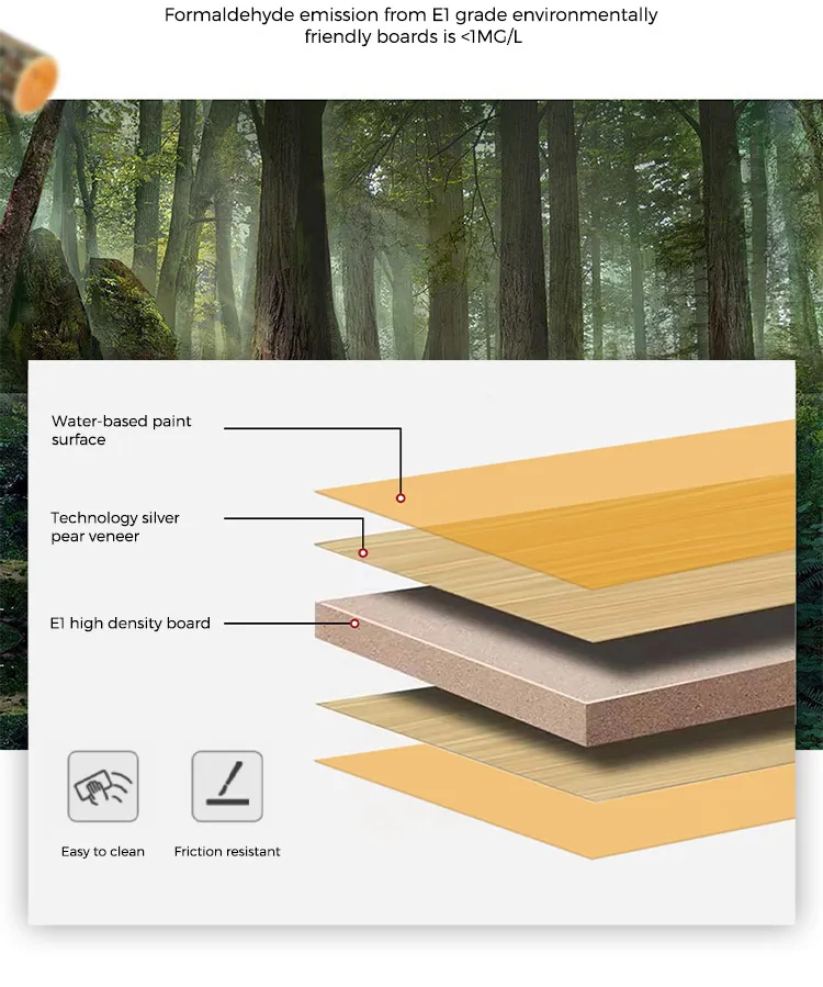 Executive Desk View 6