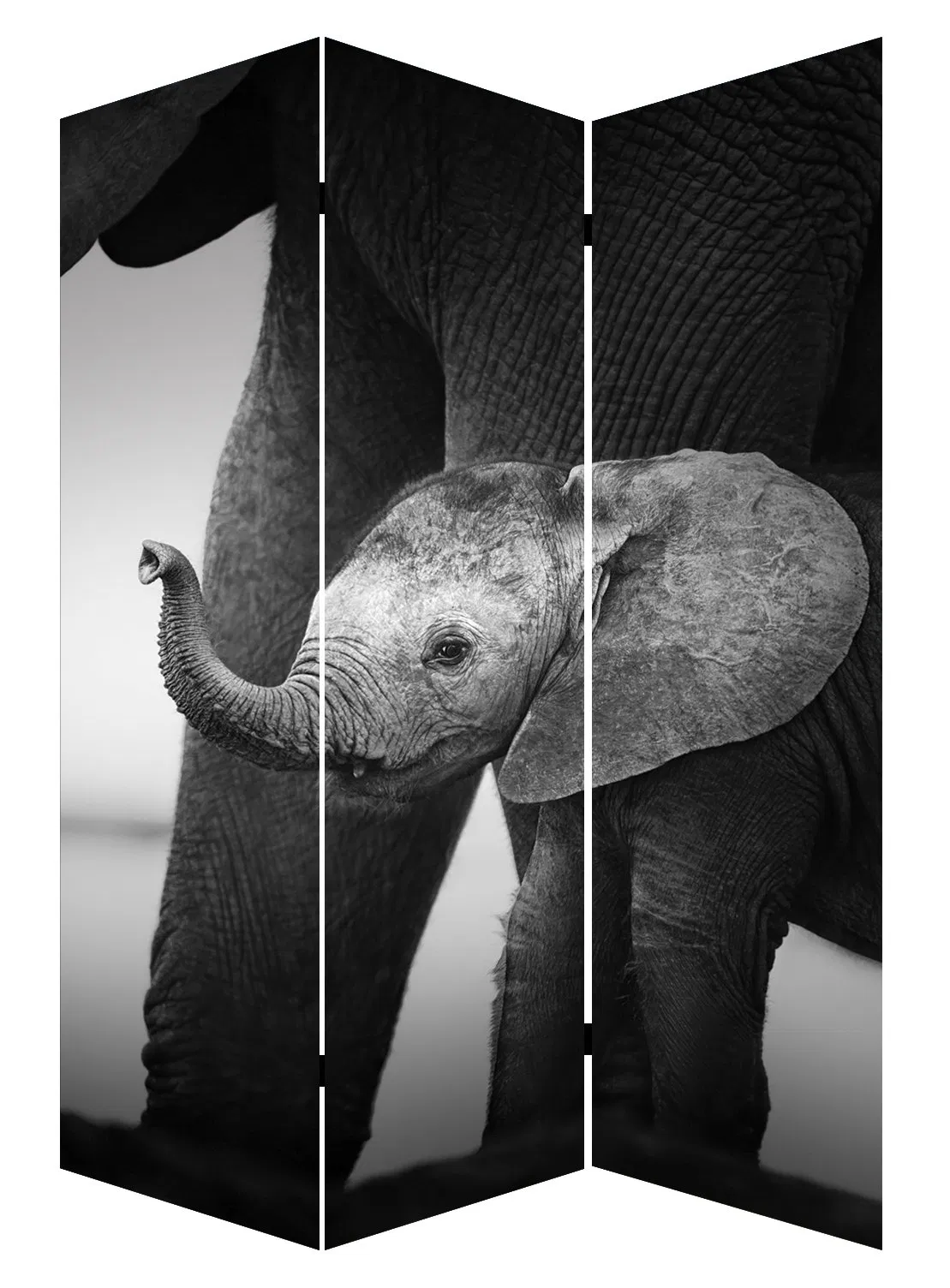 Hot Selling Elephant Indian Style Colorful Print 3 Panel Canvas/Wooden Screen &amp; Room Dividers