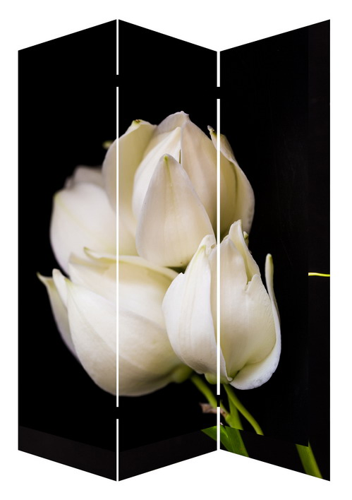 Decorative Flower 3 Panel Canvas/Wooden Folding Home Room Dividers