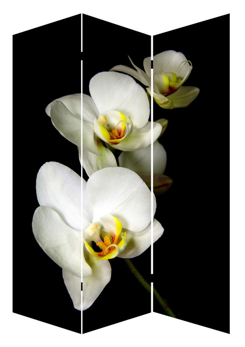 Decorative Flower 3 Panel Canvas/Wooden Folding Home Room Dividers