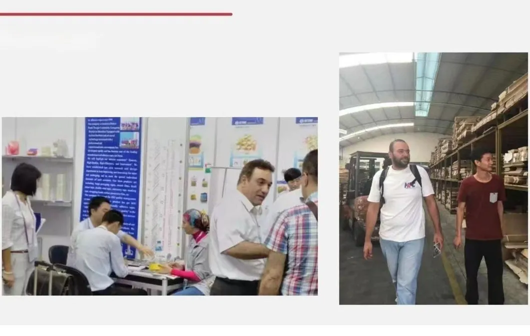 International Partner 2