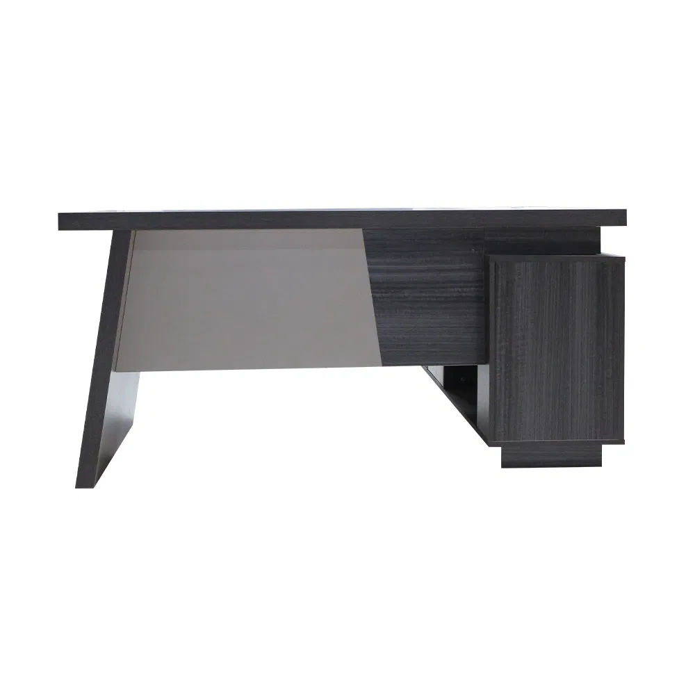 Executive Desk View 6