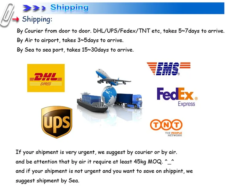Global Shipping Support
