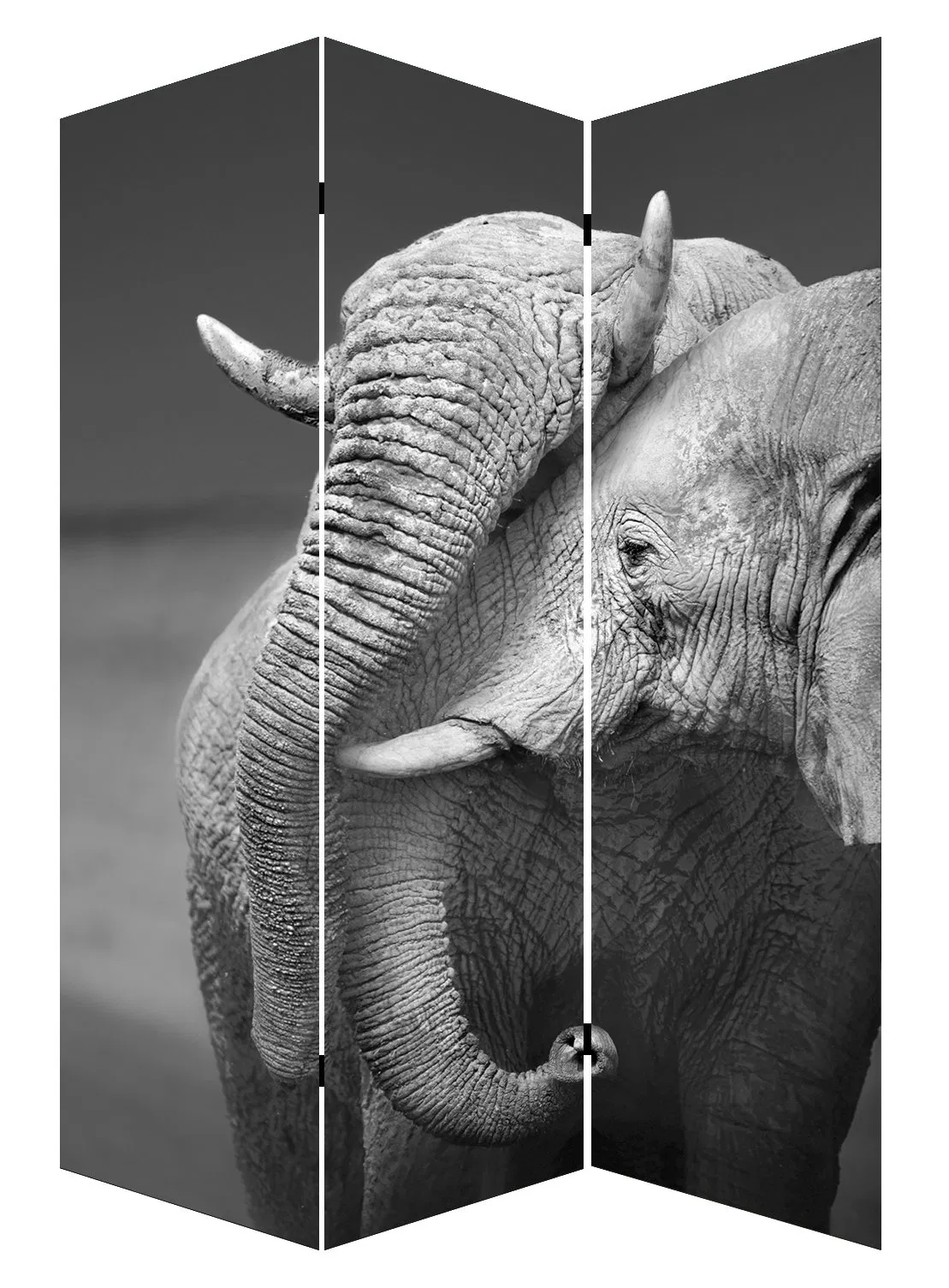 Hot Selling Elephant Indian Style Colorful Print 3 Panel Canvas/Wooden Screen &amp; Room Dividers