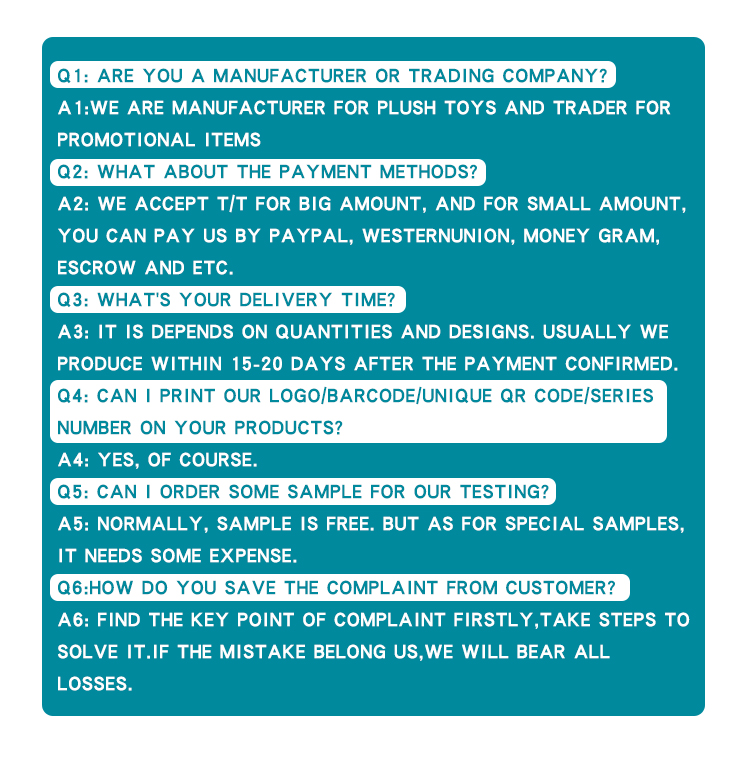 FAQ Details Info