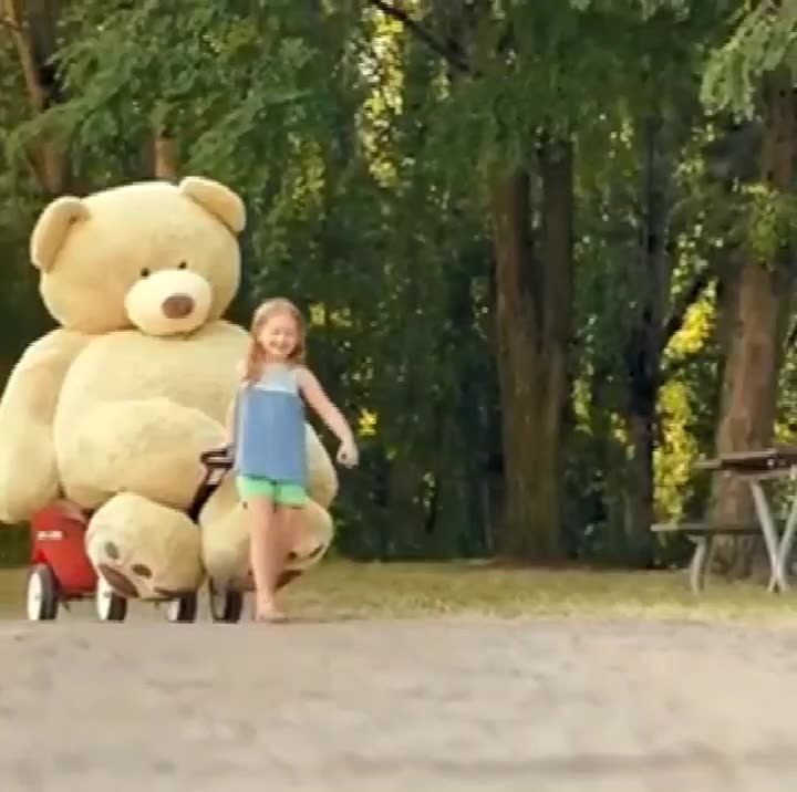 Teddy Bear Showcase 4